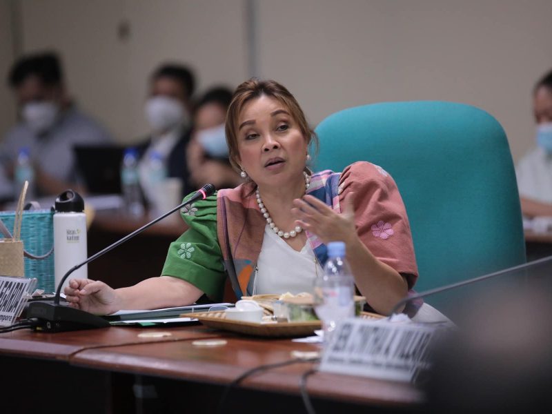 Committee on Finance: Briefing on the Proposed FY 2023 Budget of the Department of Environment and Natural Resources