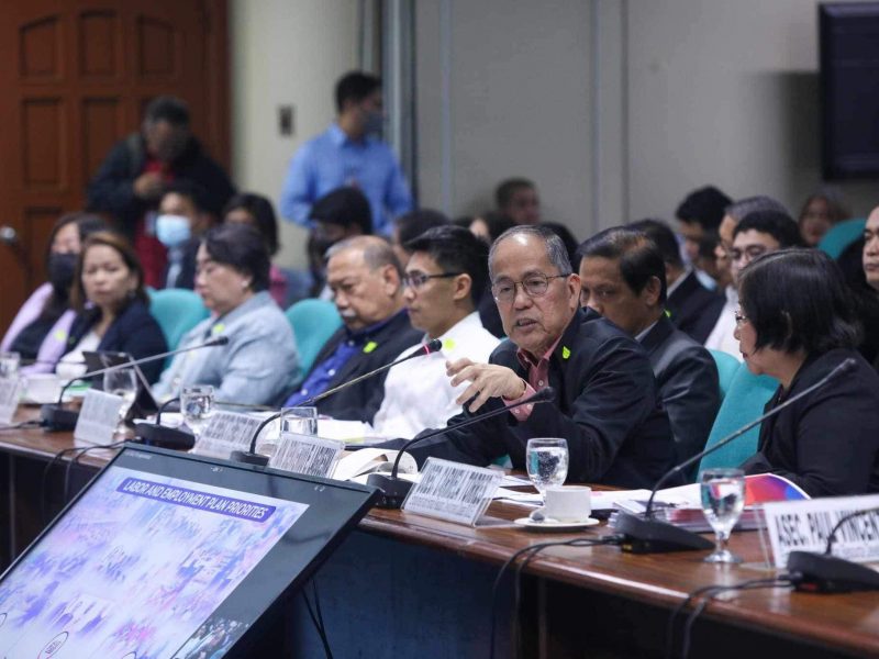 Budget Hearing of the Department of Labor and Employment (DOLE) and Its Attached Agencies